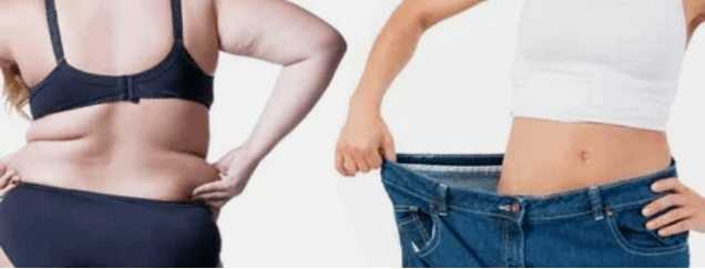 El principio de un amado menú de dieta